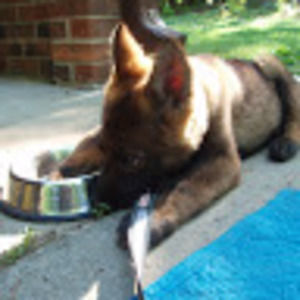 Meet your Posher, Michelle